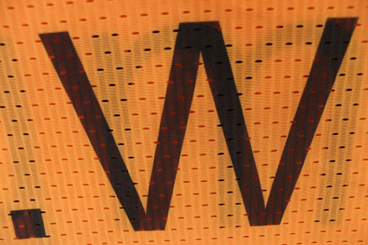 Flaga reklamowa 120 x 300 z logo – polistrecz