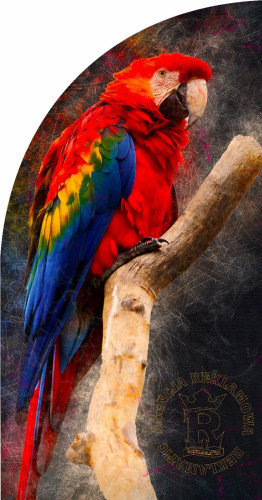 Flaga reklamowa do Windera 2,0