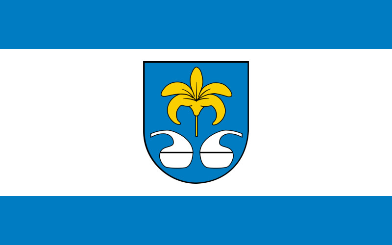 Flaga reklamowa miasta Nowa Sarzyna o wymiarach 110 x 70 cm