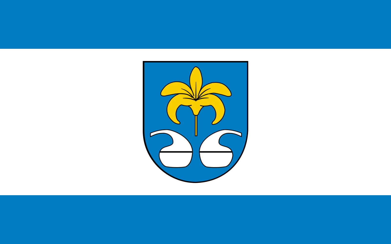 Flaga reklamowa miasta Nowa Sarzyna o wymiarach 110 x 70 cm