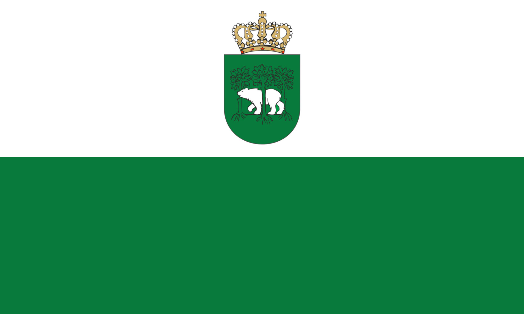 Flaga reklamowa miasta Chełm o wymiarach 110 x 70 cm