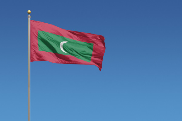 Import produktów XML malowia.pl