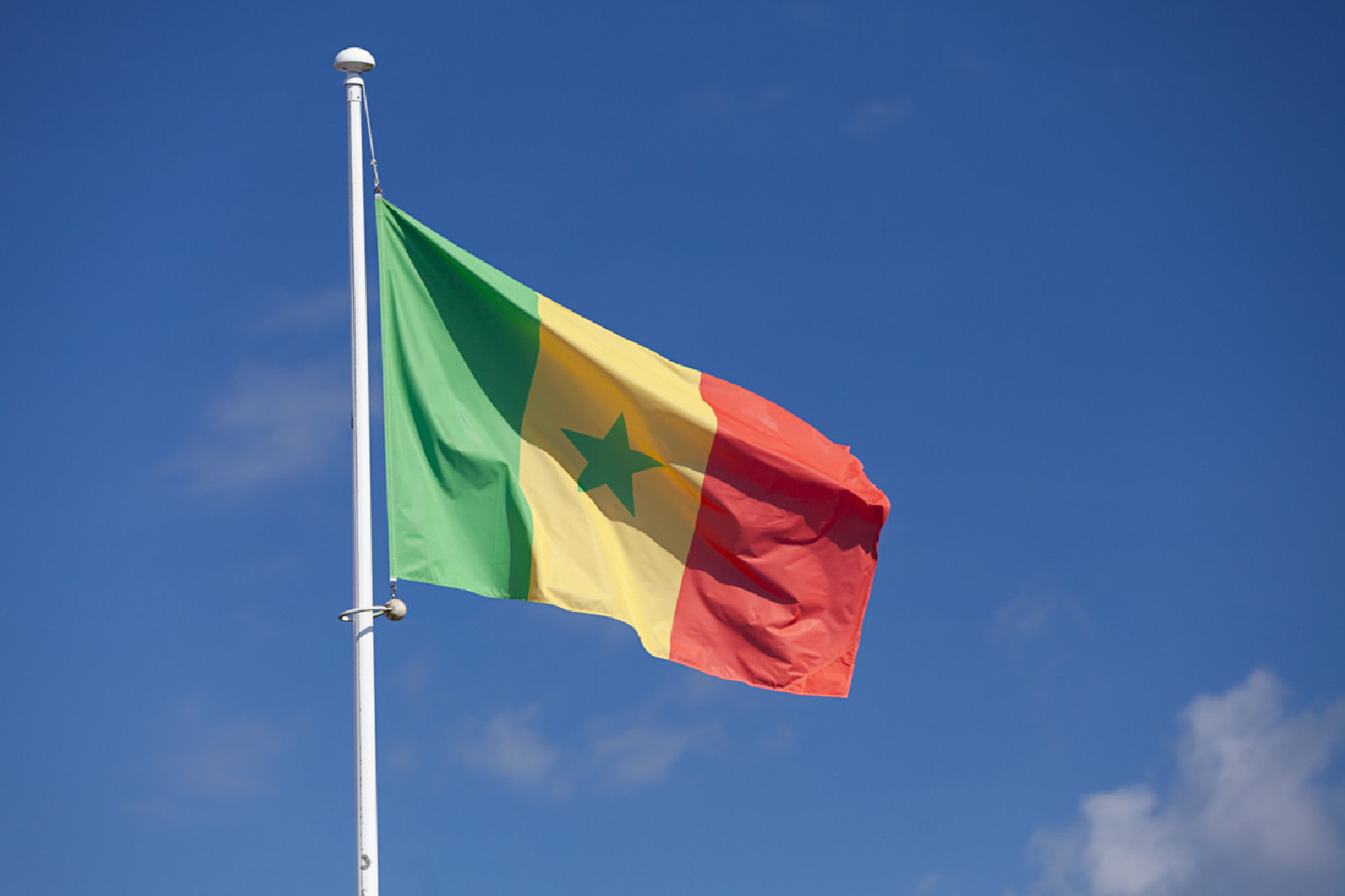Flaga Senegalu