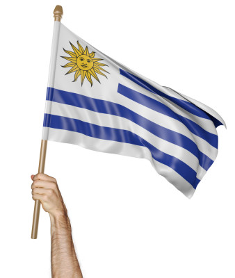 Import produktów XML malowia.pl