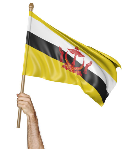 Flaga Brunei